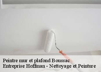Peintre mur et plafond  23600