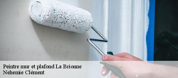 Peintre mur et plafond  la-brionne-23000 Nehemie Clément 
