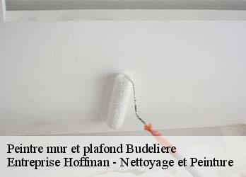 Peintre mur et plafond  23170