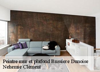 Peintre mur et plafond  bussiere-dunoise-23320 Nehemie Clément 