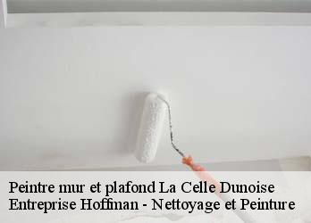 Peintre mur et plafond  23800