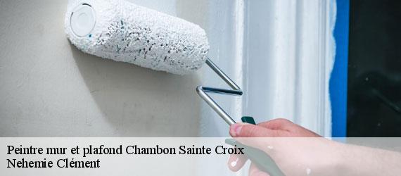 Peintre mur et plafond  chambon-sainte-croix-23220 Nehemie Clément 