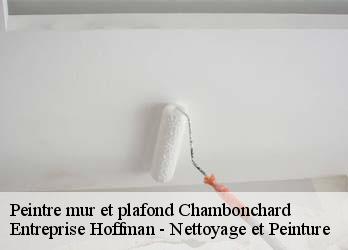 Peintre mur et plafond  23110