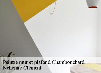 Peintre mur et plafond  chambonchard-23110 Nehemie Clément 