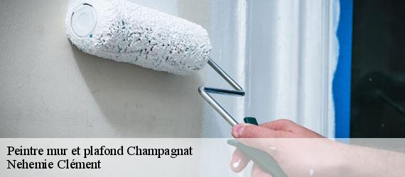 Peintre mur et plafond  champagnat-23190 Nehemie Clément 