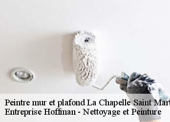 Peintre mur et plafond  23250