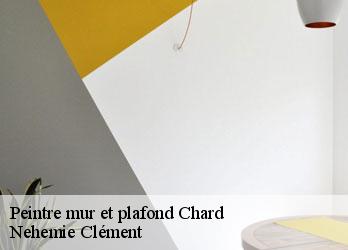 Peintre mur et plafond chard-23700 Nehemie Clément