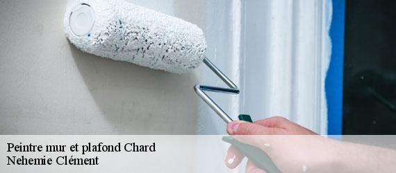 Peintre mur et plafond chard-23700 Nehemie Clément