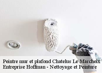 Peintre mur et plafond  23430