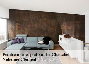 Peintre mur et plafond le-chauchet-23130 Nehemie Clément