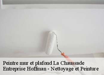 Peintre mur et plafond  23200