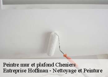 Peintre mur et plafond  23220