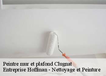 Peintre mur et plafond  23270