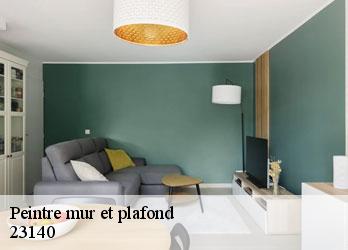 Peintre mur et plafond domeyrot-23140 Nehemie Clément