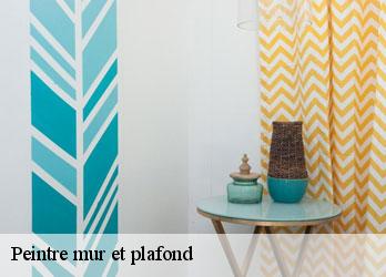 Peintre mur et plafond  dontreix-23700 Nehemie Clément 