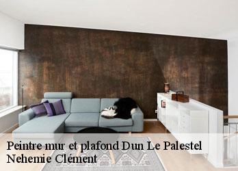 Peintre mur et plafond dun-le-palestel-23800 Nehemie Clément