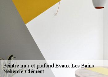 Peintre mur et plafond  evaux-les-bains-23110 Nehemie Clément 