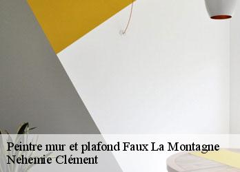 Peintre mur et plafond  faux-la-montagne-23340 Nehemie Clément 
