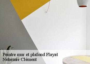 Peintre mur et plafond flayat-23260 Nehemie Clément