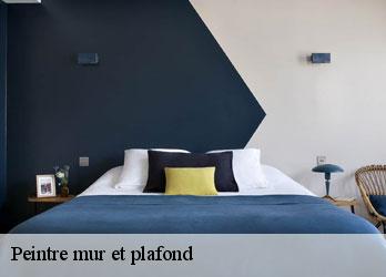 Peintre mur et plafond  fontanieres-23110 Nehemie Clément 