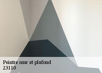 Peintre mur et plafond  fontanieres-23110 Nehemie Clément 