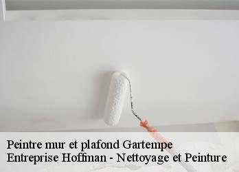 Peintre mur et plafond  23320