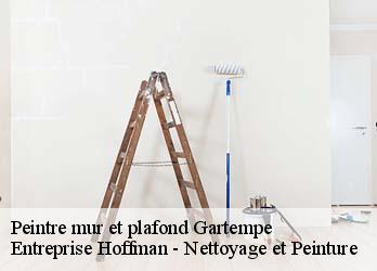 Peintre mur et plafond  23320
