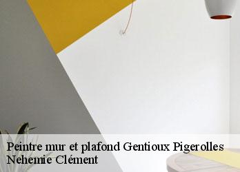 Peintre mur et plafond  gentioux-pigerolles-23340 Nehemie Clément 
