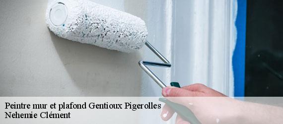 Peintre mur et plafond  gentioux-pigerolles-23340 Nehemie Clément 