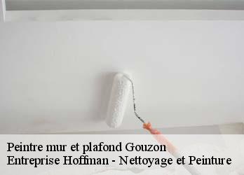 Peintre mur et plafond  23230