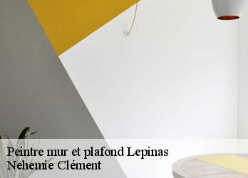 Peintre mur et plafond  lepinas-23150 Nehemie Clément 