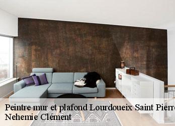 Peintre mur et plafond  lourdoueix-saint-pierre-23360 Nehemie Clément 