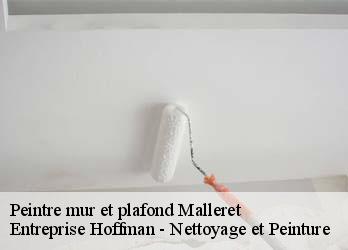 Peintre mur et plafond  23260