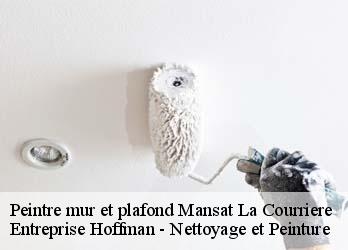 Peintre mur et plafond  23400