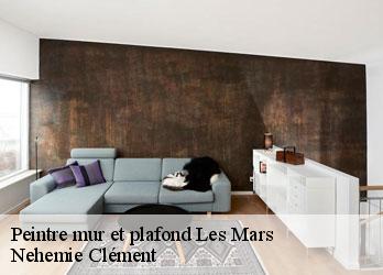 Peintre mur et plafond  les-mars-23700 Nehemie Clément 