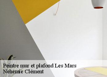 Peintre mur et plafond  les-mars-23700 Nehemie Clément 