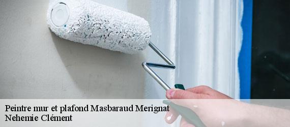 Peintre mur et plafond  masbaraud-merignat-23400 Nehemie Clément 