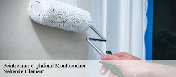 Peintre mur et plafond montboucher-23400 Nehemie Clément