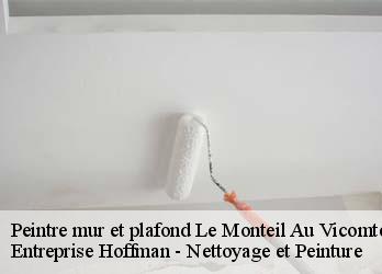 Peintre mur et plafond  23460