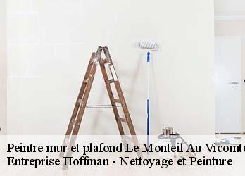 Peintre mur et plafond  23460