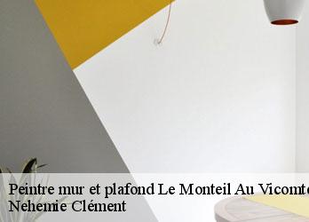 Peintre mur et plafond  le-monteil-au-vicomte-23460 Nehemie Clément 