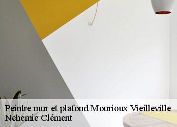 Peintre mur et plafond mourioux-vieilleville-23210 Nehemie Clément