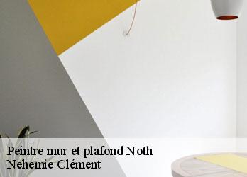 Peintre mur et plafond noth-23300 Nehemie Clément