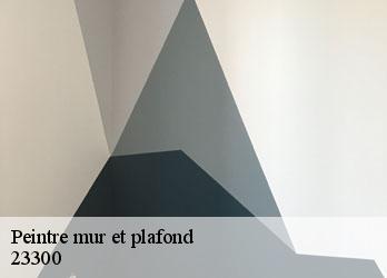 Peintre mur et plafond noth-23300 Nehemie Clément