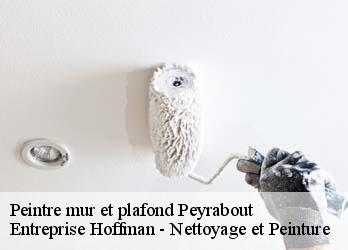 Peintre mur et plafond  23000
