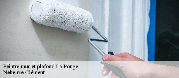 Peintre mur et plafond  la-pouge-23250 Nehemie Clément 