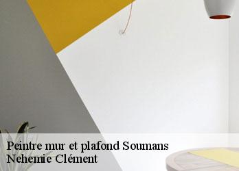 Peintre mur et plafond  soumans-23600 Nehemie Clément 