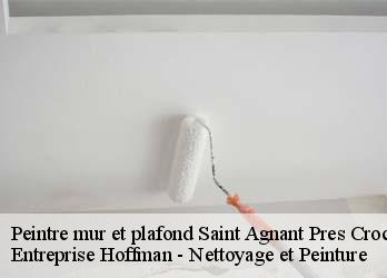 Peintre mur et plafond  23260