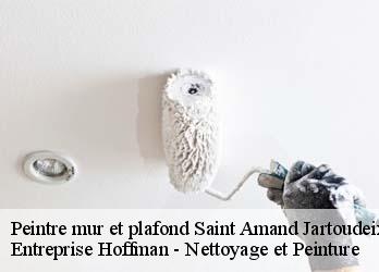 Peintre mur et plafond  23400