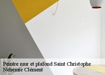 Peintre mur et plafond saint-christophe-23000 Nehemie Clément